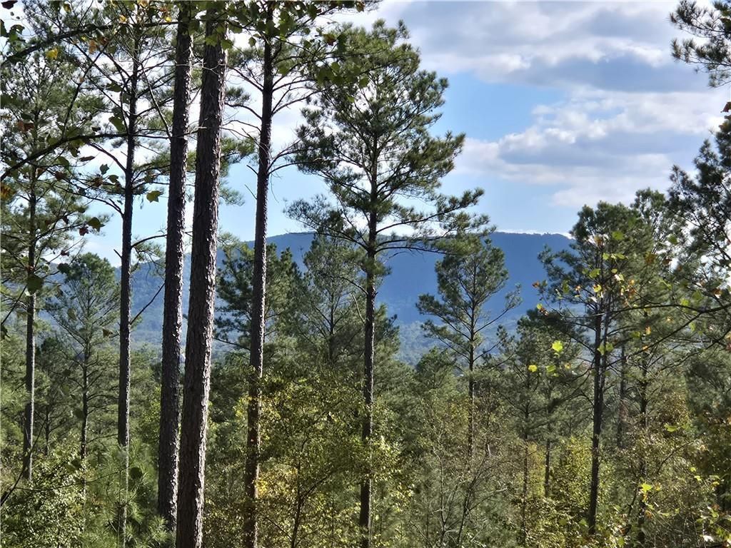 MLS #7667282 image #0