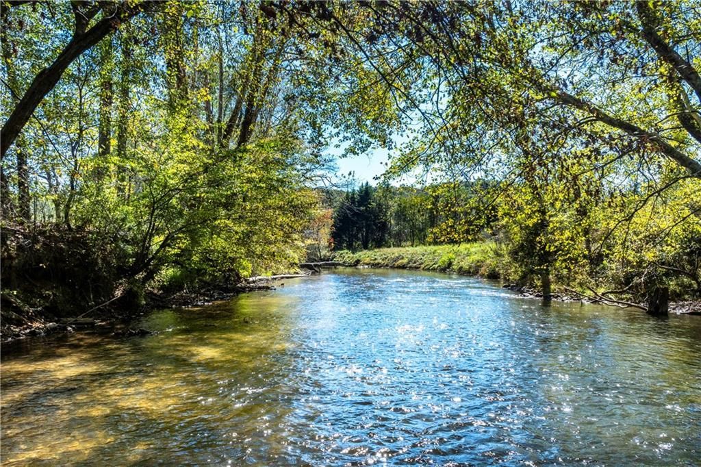 MLS #7667428 image #0