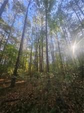 MLS #7667538 image #0