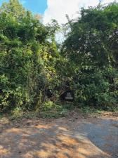 MLS #7667942 image #0