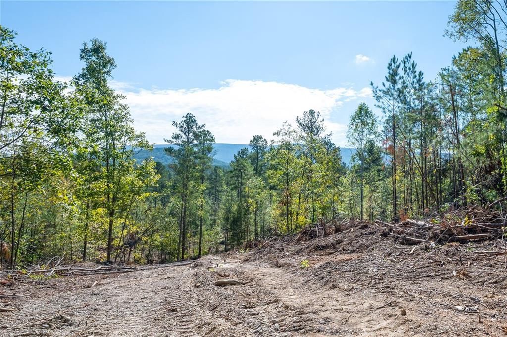 MLS #7668188 image #0