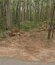 MLS #7668308 image #0