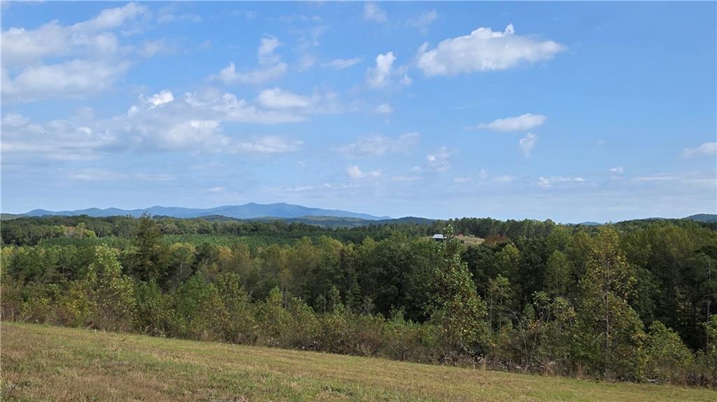 MLS #7668988 image #0