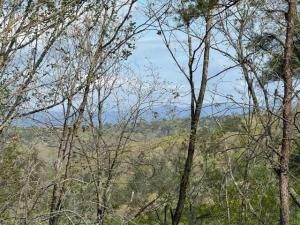 MLS #7669956 image #0