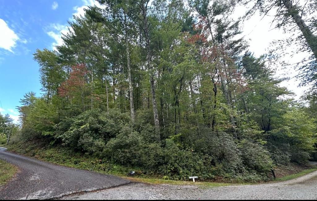 MLS #7670290 image #0