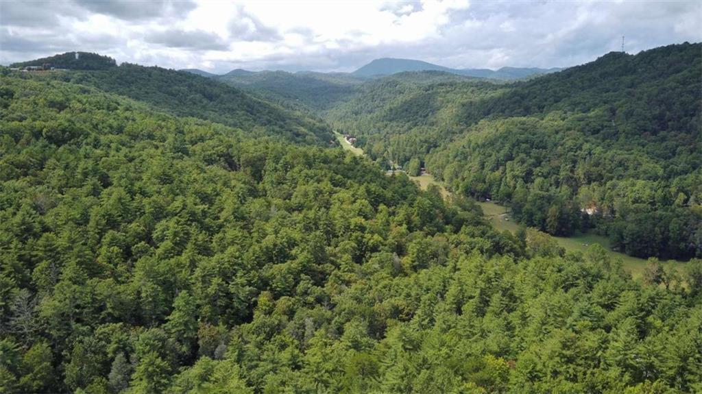 MLS #7670301 image #0