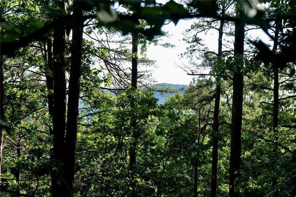 MLS #7670434 image #0