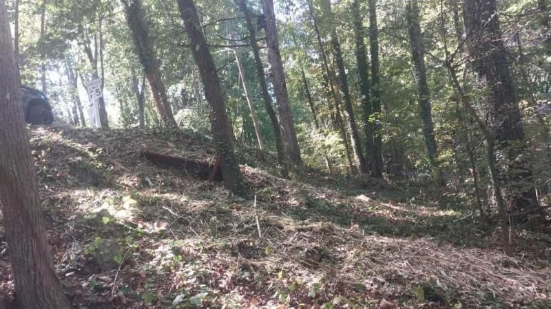 MLS #7670707 image #0