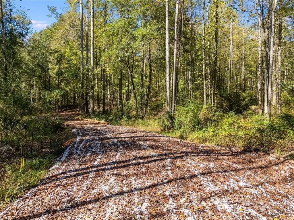 MLS #7671089 image #0