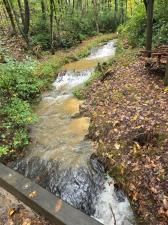 MLS #7671232 image #0