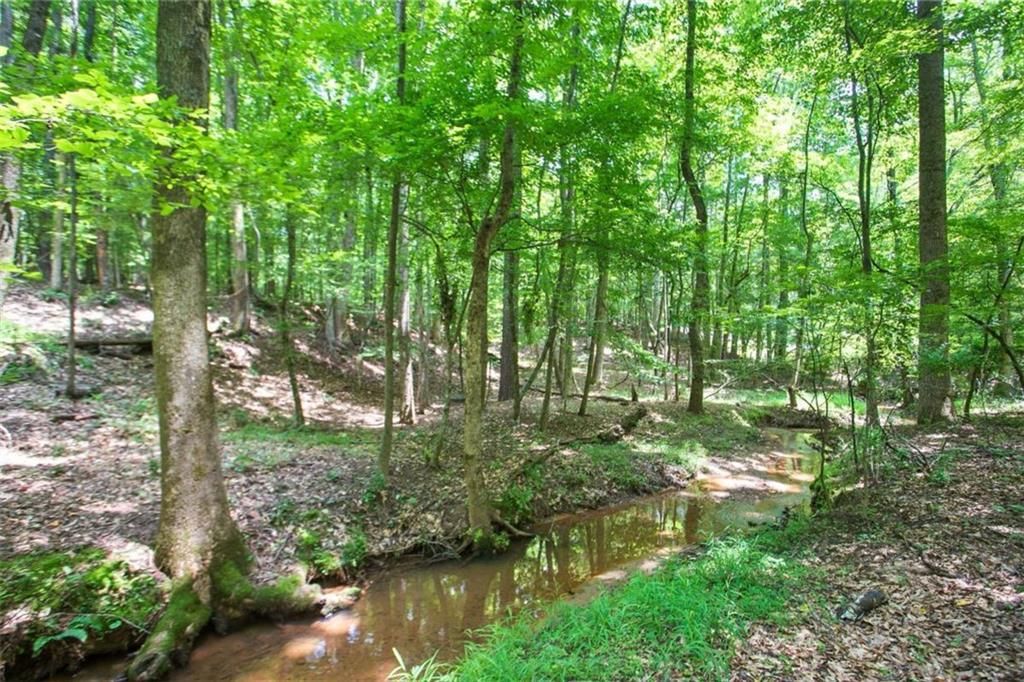 MLS #7672078 image #0