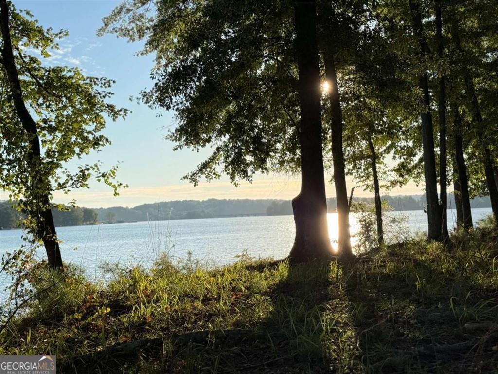 MLS #7672874 image #0