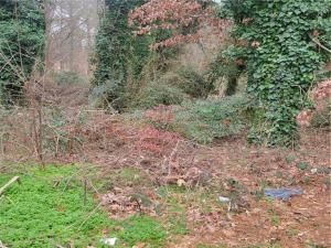 MLS #7672932 image #0