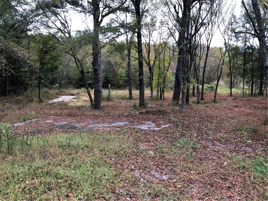 MLS #7673313 image #0