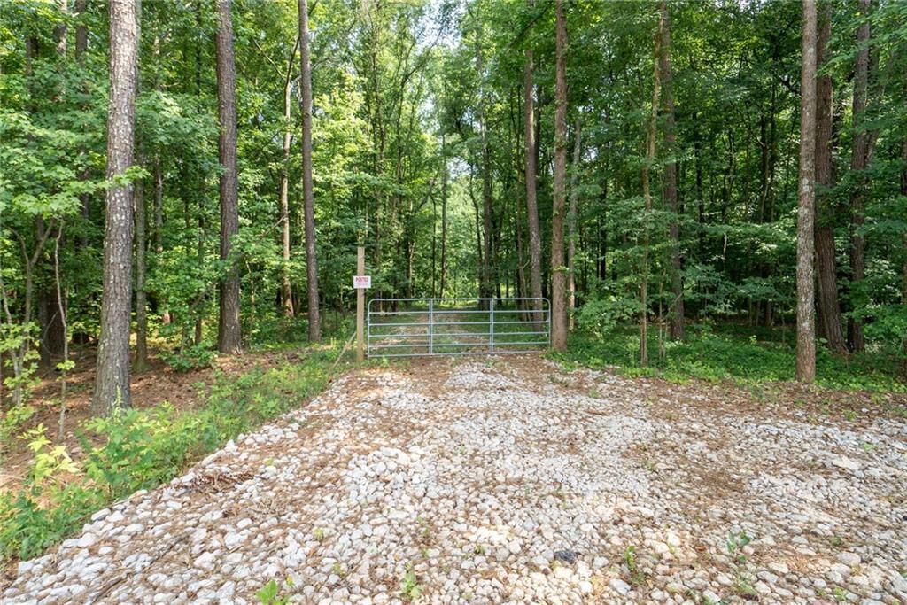 MLS #7674173 image #0