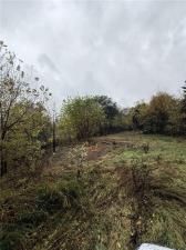 MLS #7674219 image #0