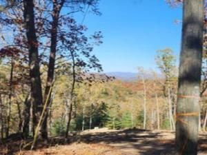 MLS #7674641 image #0