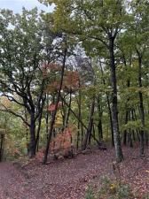 MLS #7674929 image #0