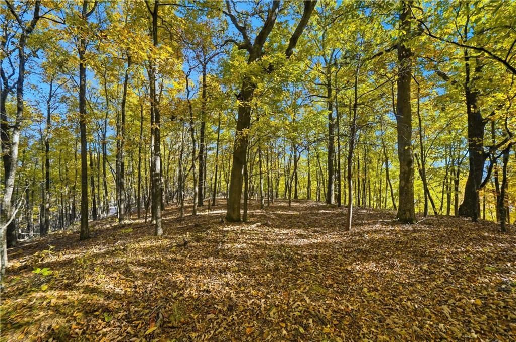 MLS #7674938 image #0