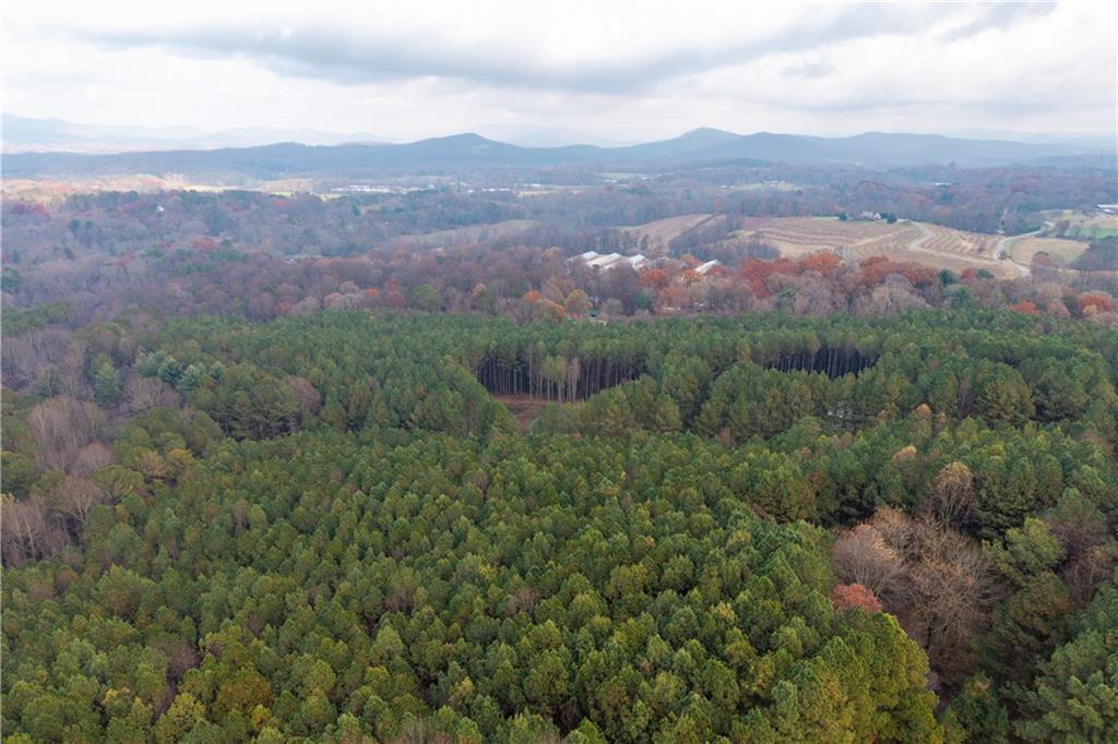 MLS #7675161 image #0