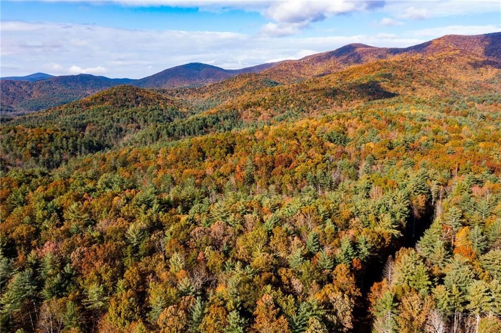 MLS #7675530 image #0