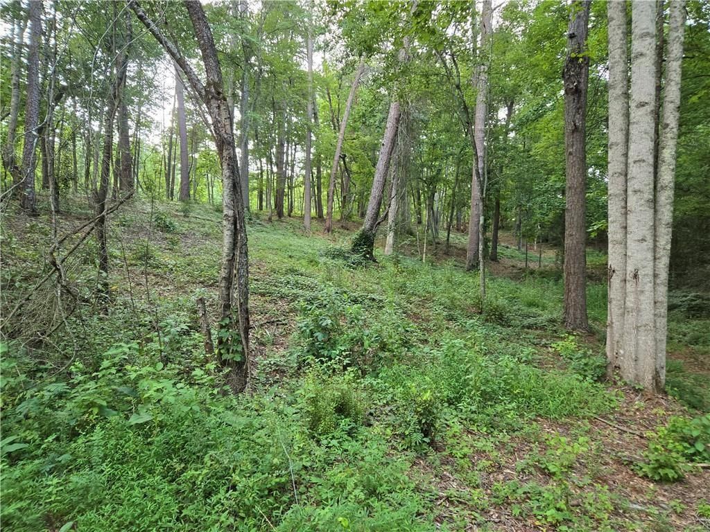 MLS #7676066 image #0