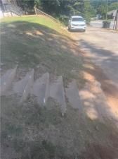 MLS #7676553 image #0