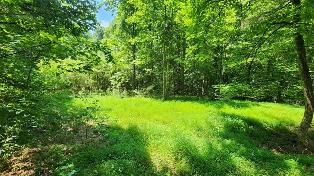 MLS #7676668 image #0