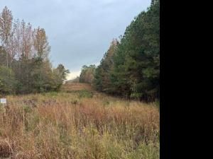 MLS #7676870 image #0