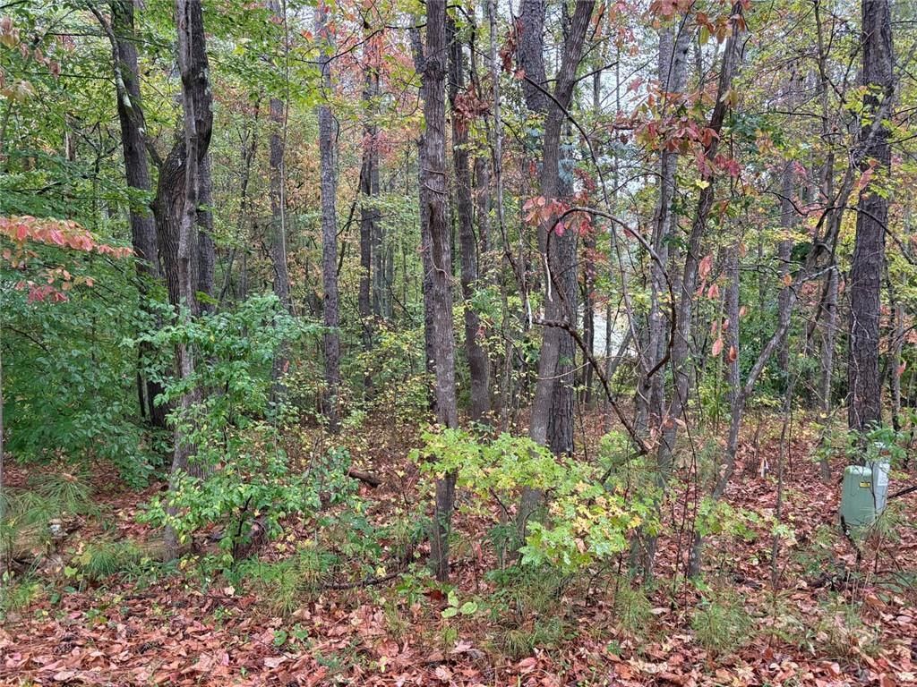 MLS #7676871 image #0