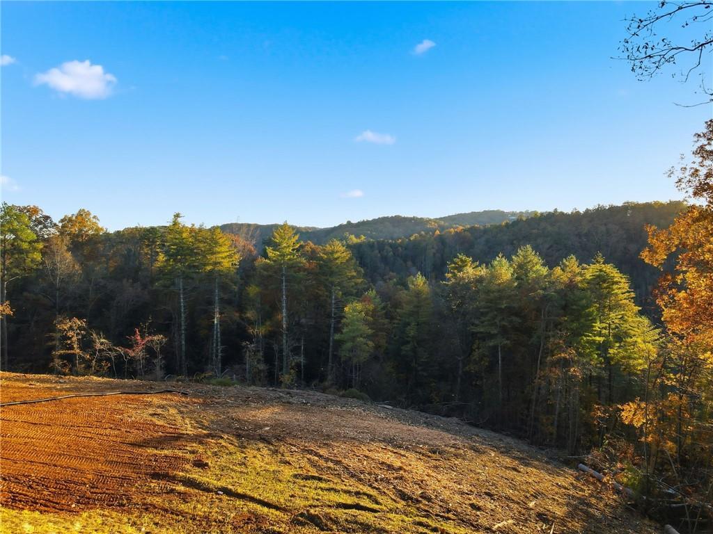 MLS #7677042 image #0