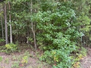 MLS #7677446 image #0