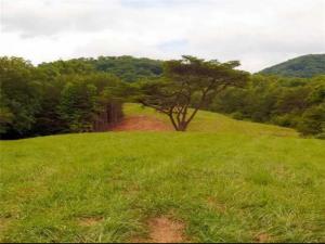 MLS #7678781 image #0