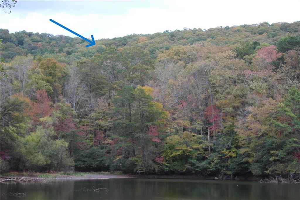 MLS #7679290 image #0