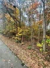 MLS #7679306 image #0