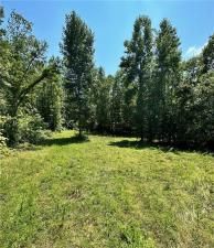 MLS #7679334 image #0