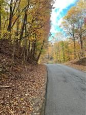 MLS #7679373 image #0