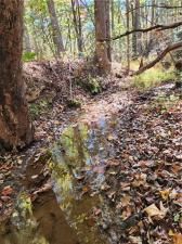 MLS #7679390 image #0