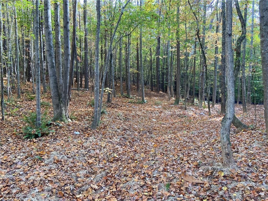 MLS #7679476 image #0