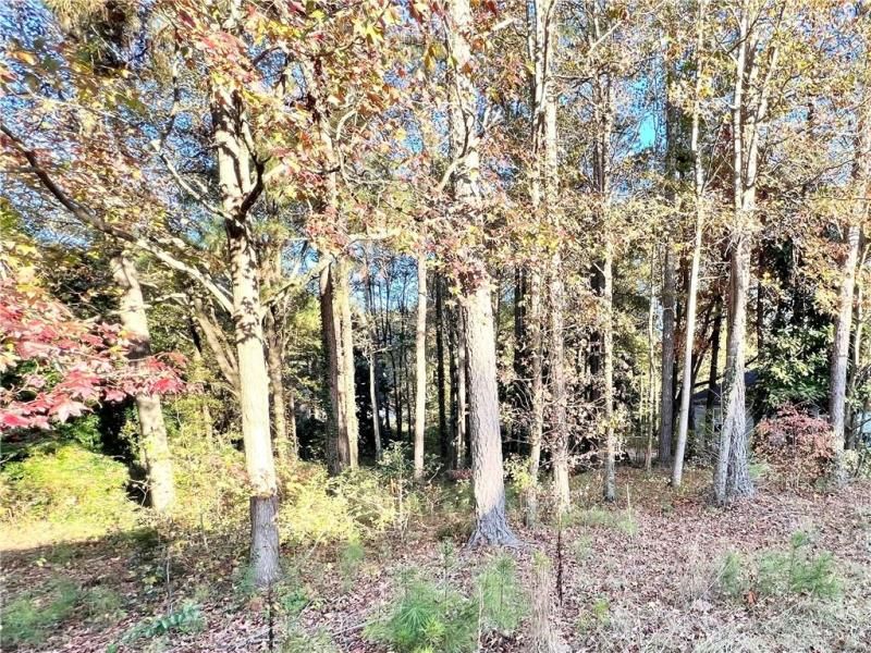 MLS #7680280 image #0