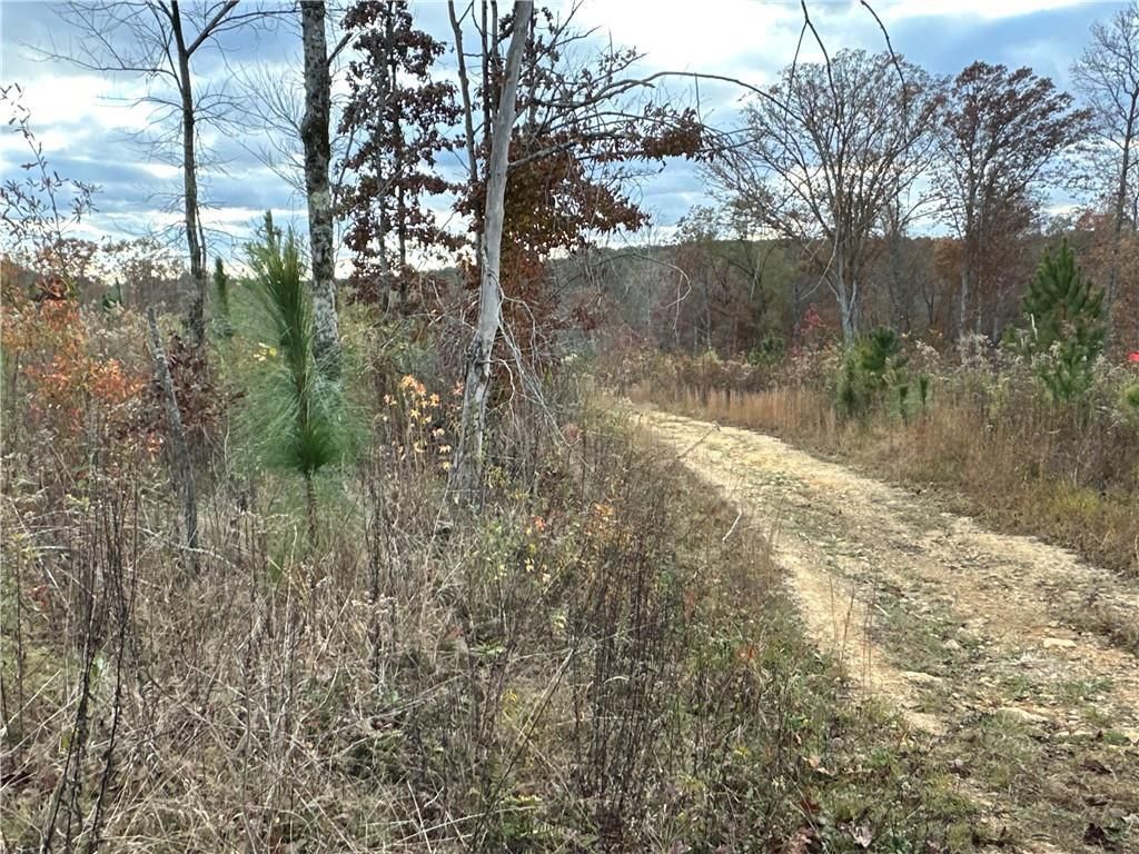 MLS #7680657 image #0