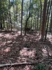 MLS #7680882 image #0