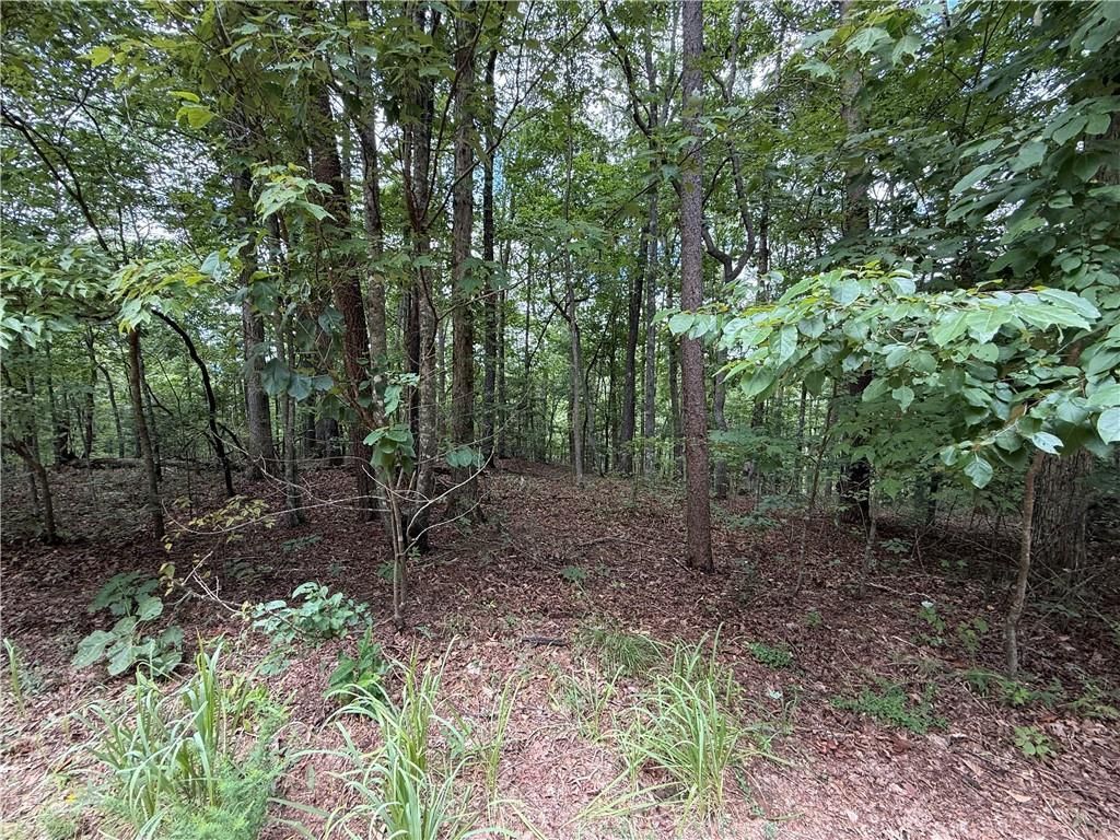 MLS #7681054 image #0