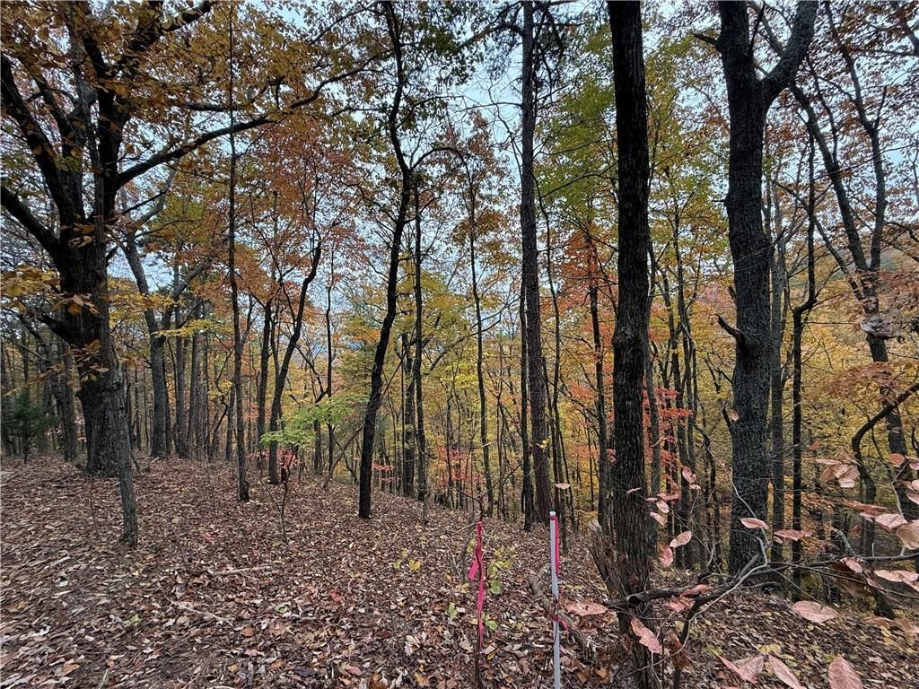 MLS #7681226 image #0