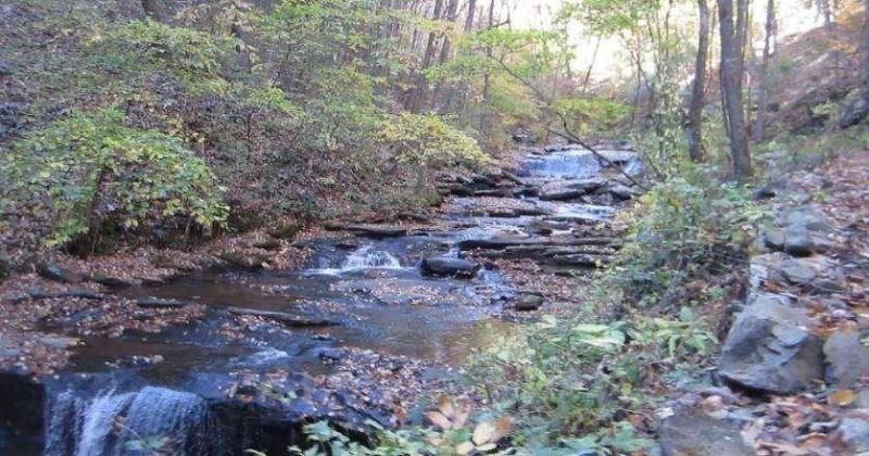 MLS #7681237 image #0