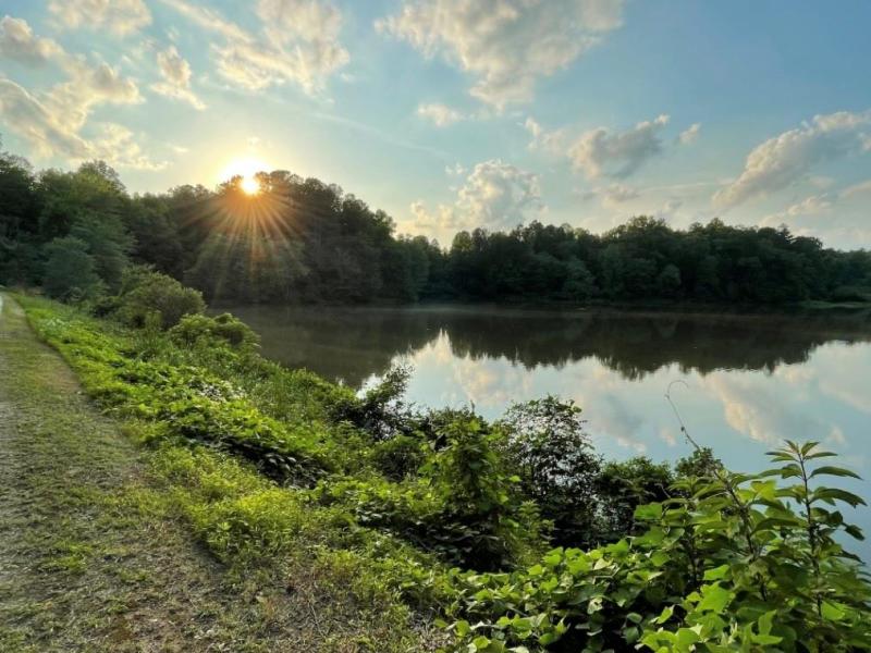 MLS #7681806 image #0