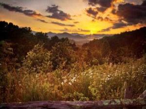 MLS #7683475 image #0