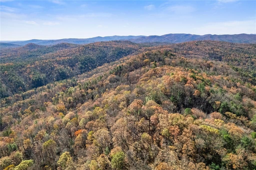 MLS #7683478 image #0