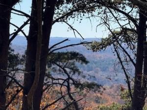 MLS #7683545 image #0