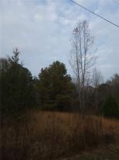 MLS #7684364 image #0